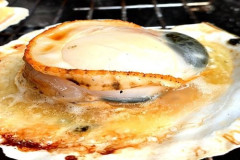 【悲報】貝類で1番うまい貝ってなんや？？
