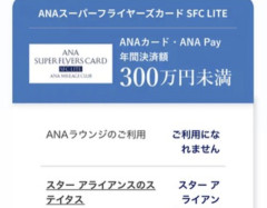 【画像】ANA「今後は年間300万使ってくれなきゃラウンジ使わせません」→大炎