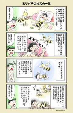 【雄蜂】なんだよこの漫画ｗｗｗ【注意】