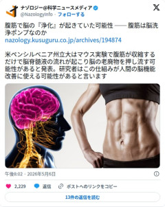 【朗報】腹筋さん、脳のゴミを押し流す『浄化ポンプ』だった可能性が浮上してしまう