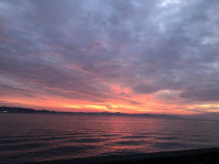 東日本大震災の時何してた？
