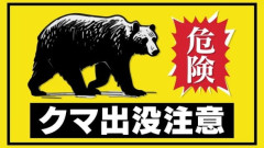 【福島】ガードレールに手をかけて立っているクマを目撃