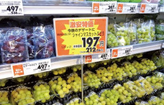 【悲報】全世界さん、賃金より物価上昇のほうが遥かに進行してしまう