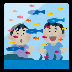 ソロ水族館来てるけど水槽の中の魚どもすら嘲笑してくる