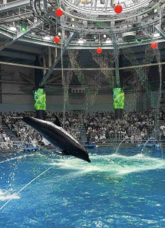 子供が喜んでくれた水族館【全国版】