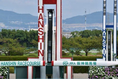 宝塚記念ファン投票がスタート