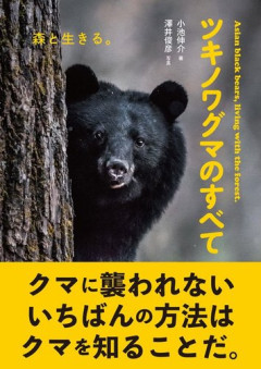 【悲報】なんで去年から熊被害が増えてるの？