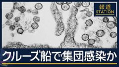 【緊急】クルーズ船で集団感染の『ハンタウィルス』とんでもない事実判明