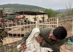 イスラエル兵士がレバノン南部で聖母マリア像の口にたばこを押しつけ…軍が調査中！