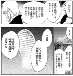 【BLEACH】尸魂界の文明レベルが低くてて死んだ後にここ行くの嫌だ