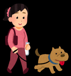 【訃報】イッヌさん🐶、滝に落ちて行方不明