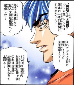 【トリコ】大分全うな組織だよなIGO