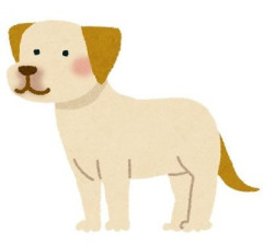 【うわっ】彼女の飼ってた大型犬が亡くなった時、俺も16年飼ってた犬が去年亡くなってすごく気持ちが分かったから全力で慰めていた。すると彼女が…