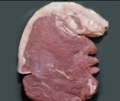 【画像】右脳派ならゾウに見え、左脳派ならハムスターに見える豚肉が見つかる