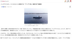 クルーズ船のハンタウイルス、ヒトからヒトに感染するアンデス型だと判明