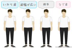 【論文】女性は肩幅が広くて上半身が筋肉質な男性を性的に魅力的と感じている！