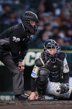 NPB、危険スイングに「退場」検討