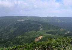 【岩手県八幡平市】クマに襲われたか　山中に女性の遺体　山菜取りで行方不明の60代女性を捜索中に発見
