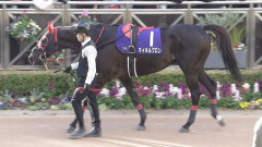 【悲報】引退馬支援団体さん、チャリティに協力した青木調教師を晒し上げてしまう