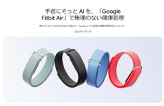 Google､フィットネストラッカー｢Google Fitbit Air｣を1万6800円で発売