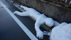 【衝撃】京都の男児が殺害された『原因』、ついに判明する・・・・・