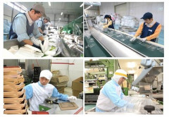 【悲報】障害者雇用、在宅で仕事を与えられず放置されていた模様・・・・・