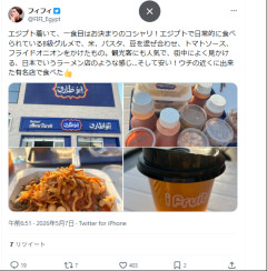 【悲報】かつてネトウヨの姫だったフィフィさん、ガチでエジプトに帰国