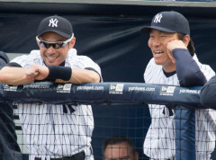 松井秀喜がメジャーでパワー不足だったせいでパワー勝負は無理って風潮あったよな