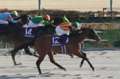コスタノヴァ左前脚骨折で全治3か月