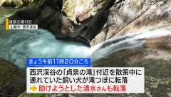 滝へ転落した犬を助けようとした飼い主の女性も転落し死亡　犬は行方不明
