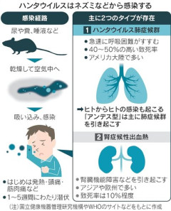 【悲報】ハンタウィルスさん、ガチで想像以上にヤバすぎるｗｗｗｗｗｗｗｗｗｗ