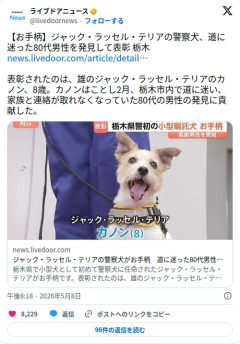 【朗報】警察犬のジャックラッセルさん(8歳)、迷子の80代男性を発見し表彰されてしまう