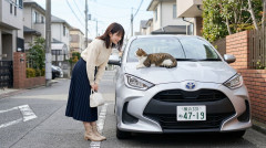 【画像】いや車こんなん毎日点検してるやつほんとにいるの？？？？？？？？？？？？