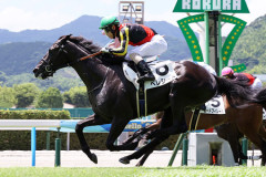 【競馬予想】第74回京都新聞杯(GⅡ) /2026