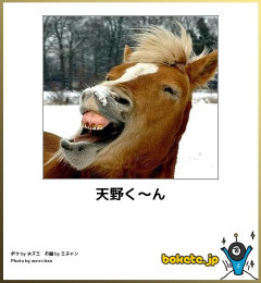 【画像】3秒後にフフッってなる画像貼ってけ