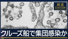 【訃報】ハンタウィルスさん、想像以上にヤバい・・・
