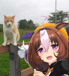 【ウマ娘】やっぱりメトキャッツは可愛いな…