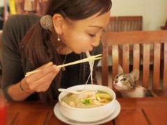 【悲報】麺を啜り切らずに「ブチッ」と噛み切るやつｗｗｗｗｗｗｗｗｗｗ