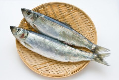 事実ニシンという魚、皆さんも食べたことないと思います