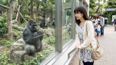 【観光速報】名古屋市「日本1位の植物園プラネタリウム2位の水族館3位の動物園遊園地あります」←これ