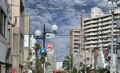 「鹿児島の桜島、今回は派手に噴火したなあ（ﾊﾟｼｬ」→地元民以外は死を覚悟するレベルだと話題に