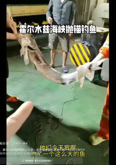 中国タンカー船員「ホルムズ海峡封鎖されて暇やから釣りでもするか」