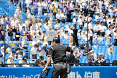 東京六大学野球審判団、ヘルメットにオスナに殴打された審判員の背番号「２９」を刻む