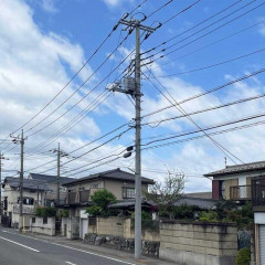 【悲報】女さん、電柱と化す