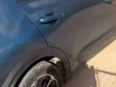 子イヌを車から降ろそうと後部座席のドアを開けてみた。ファッ！？ → ミサイル発射です…