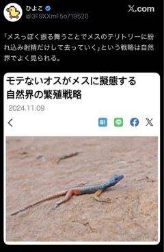 【驚愕】弱者オスの戦法、人類より強かで草ｗｗｗｗ