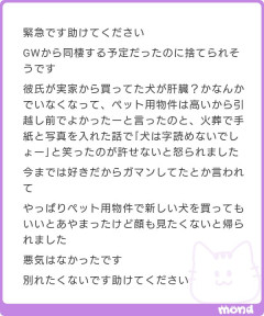 【画像】リアルみいちゃん、彼氏に心無い事ばかり言って捨てられてしまうｗｗｗｗｗｗｗｗｗｗｗｗｗｗｗｗｗｗｗ