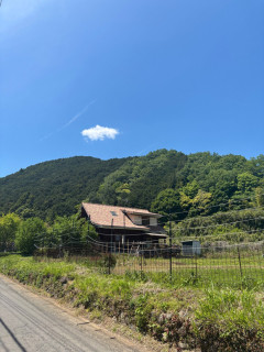 謎の田舎道に来たンゴ