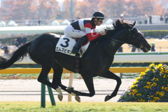【京都新聞杯】６億円馬エムズビギンとは何だったのか