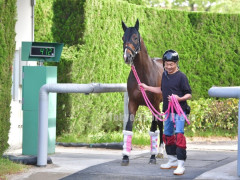 【NHKマイルカップ】 バルセシート来そうすぎてやばいな